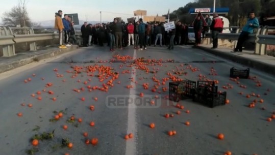 Protestë tek Ura Vajgurore/ Fermerët e mbështetur nga PD hedhin prodhimet në rrugë: Kemi falimentuar