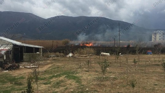 Zjarr masiv në Orikum, flakët rrezikojnë disa banesa dhe lokale (VIDEO)