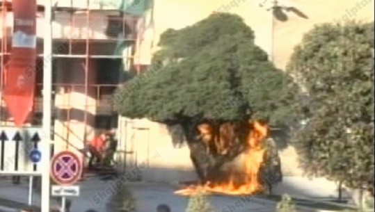 Protestuesit i vënë flakën pemës tek kryeministria