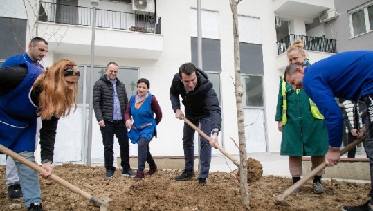 Administratorët e pallateve i bashkohen aksionit për mbjelljen e pemëve