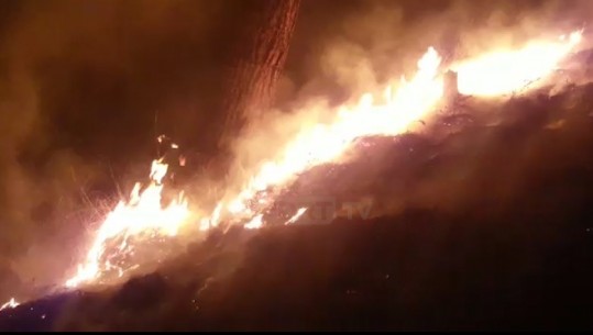 Zjarr i përmasave të mëdha në Kodrat e Krapsit në Fier (VIDEO)