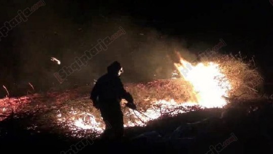 Zjarr në Krujë, terreni vështirëson ndërhyrjen e zjarrfikësve (FOTO+VIDEO)