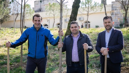 Punonjësit e Autoritetit Rrugor Shqiptar dhurojnë pemë për Tiranën