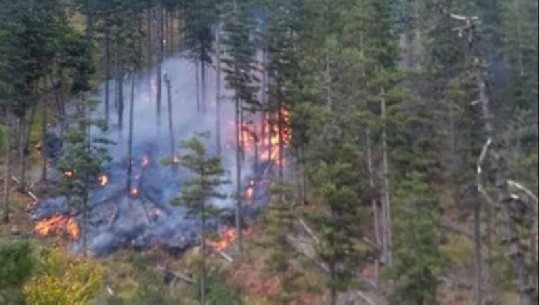 Zjarr i madh në malin mes Tiranës dhe Matit, digjen pesë hektarë pyje