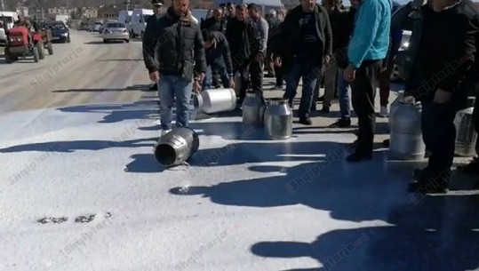 Lushnjë/ Fermerët në protestë, derdhin bidona me qumësht në rrugë (VIDEO-FOTO)
