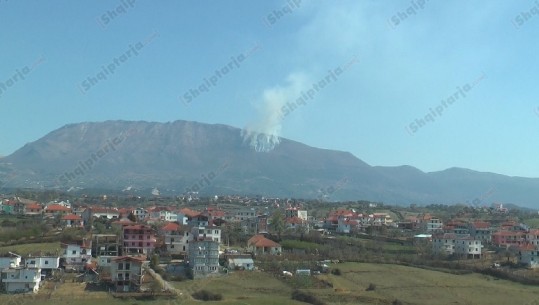 Zjarr në Malin e Dajtit, Goxhaj: Ndërhyrja e vështirë për shkak të terrenit (VIDEO)