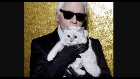 U bë trashëgimtarja e pasurisë së Karl Lagerfeld, macja 'bosse' bën lëvizjen e radhës (Foto)