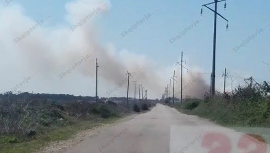 Flakë pranë n/stacionit elektrik të Fushë-Krujës, zjarr i fuqishëm në pyllin me pisha në Darezezë të Fierit (VIDEO)