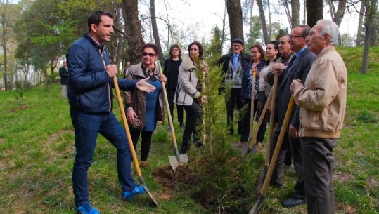Shoqata 'Devolli' mbjell pemë në Tiranë