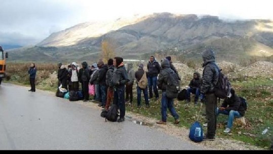 Emigrantët ilegal, DASH përgëzon operacionet e policisë shqiptare