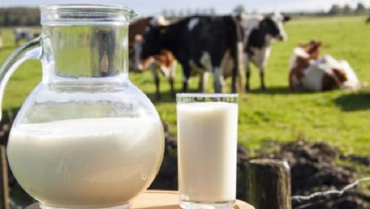 Subvencioni për qumështin/ Më 20 prill nisin aplikimet për fermerët