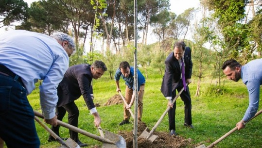 Gjenerata e 6-të e Programit 'LEAD Albania 2019' dhuron pemë për Tiranën