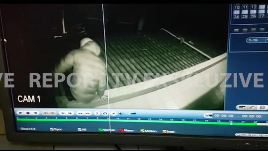 VIDEO ekskluzive/ Me maska e leva, 3 hajdutët mbi 'kokën' e pronarëve...vjedhin kasafortën me 3 mln lekë