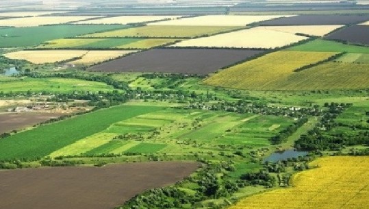 Tokat bujqësore/ Ja kategoritë e reja që kanë tokën në përdorim dhe fitojnë pronësinë