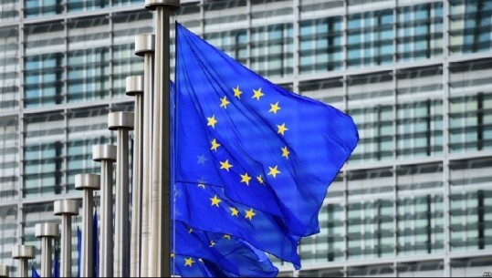 PD përballë BE-së: 8 përgënjeshtrimet e Brukselit, për Lulzim Bashën