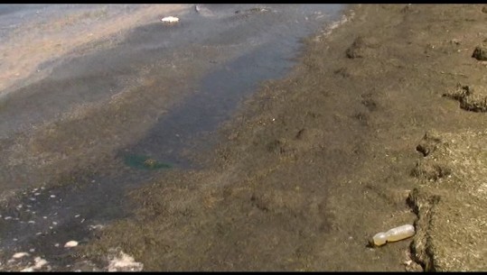 Mbeturina nga fusha në lagunë! Ndotet masivisht bregdeti i Kunës (VIDEO)
