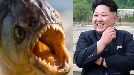 Horror në Korenë e Veriut, Kim Jong-un hedh Gjeneralin në akuariumin e mbushur me piranja