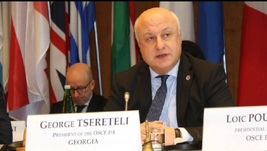 Kriza në Shqipëri/ OSBE-ja thirrje opozitës: Uluni në dialog pa parakushte