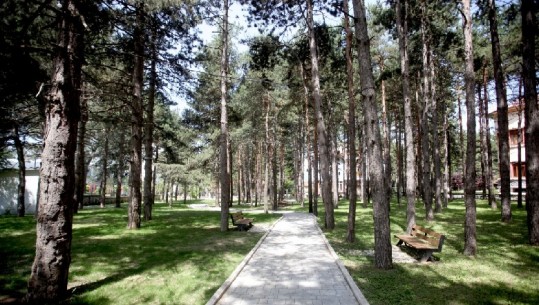 Rama në Korçë/ I pari park Japonez në Shqipëri, shpjegohet projekti