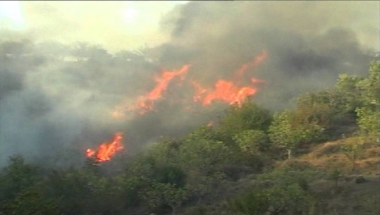 Zjarr i madh në Elbasan, rrezikohen disa banesa, mes tyre edhe e ish-deputetit demokrat, Luçiano Boçi