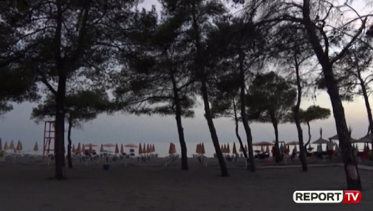 Sapo ikën dielli në Durrës, mushkonjat shtrijnë pushtetin! Ankohen pushuesit (VIDEO)