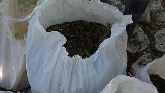 Kapet më 46 kg kanabis të tharë dhe fidanë të mbjellur, arrestohet 42-vjeçari nga Vlora