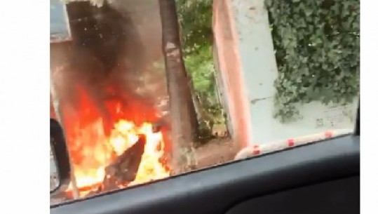 Zjarr i madh pranë shkollës tek 'Myslym Shyri' (VIDEO)