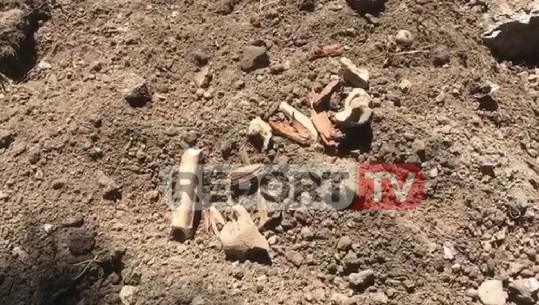 Korçë/Punimet në lulishten 'Shën Mëria' nxjerrin në sipërfaqe eshtra njerëzish (VIDEO)