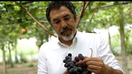 Ministri Çuçi me fermerët e rrushit në Libofshë: Ulim taksat dhe subvencionojmë plastmasin e serave