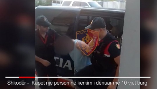 Shkodër-Në kërkim për vjedhjen e 28 mln lekëve në bankë, arrestohet në shtëpi punonjësi (VIDEO)