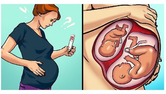 Të ngelësh shtatzënë teksa je shtatzënë...! Shkenca pranon se është e mundur 