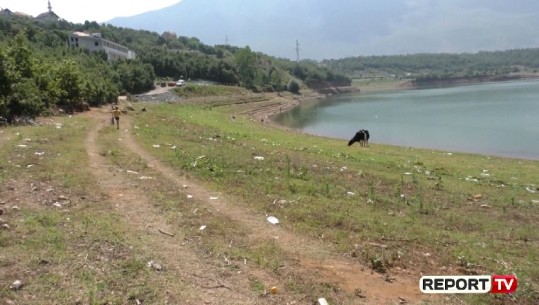 Ndotja e liqenit të Kukësit nga ujërat e zeza, banorët: Mungon vëmendja e institucioneve (VIDEO)
