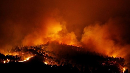 Portugali/ Vatra zjarri kërcënojnë kryeqytetin, zjarrfikës dhe banorë të plagosur (VIDEO)