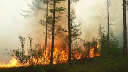 Rrethi i Arktikut, 100 vatra zjarri shkrumbojnë “çatinë” e Tokës (VIDEO)