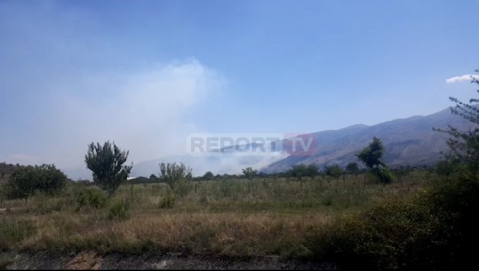 Rëndohet situata e zjarrit në Dropull, flakët hyjnë në Parkun Natyror të Goranxisë, Mbrojtja: Po bëjmë të pamundurën  (VIDEO)
