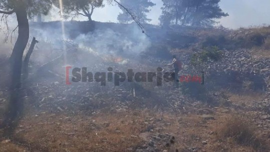 Zjarret djegin pyjet/ Ministria e Mbrojtjes: Në Vaun e Dejës shuam flakët, vijon në Dropull e Pukë (VIDEO)