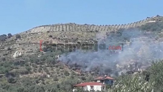 Zjarri përfshin dy fshatra në Cakran, shkrumbohet një banesë e dëmtohen ullishtet (VIDEO)
