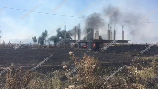 Dy vatra zjarri në Korçë/ Digjen pemë frutore e jonxhë, dyshohet zjarrvënie e qëllimshme  (VIDEO)