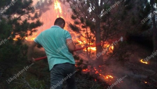 Bashkia Kukës shpëton nga zjarri Parkun Kombëtar Korab-Koritnik, në Ersekë digjen 15 hektarë dushqe e pisha (VIDEO)