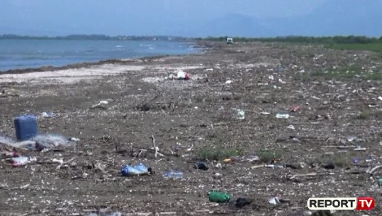 Ky është plazhi në Shqipëri që frekuentohet vetëm nga bagëtitë, i pushtuar nga 'mbeturinat' (VIDEO)