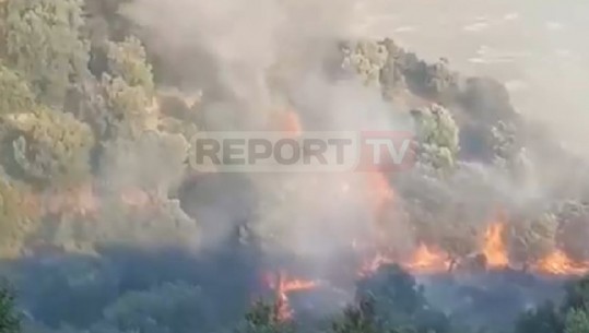  Zjarr në Lukovë, banorët shuajnë flakët përgjatë natës (VIDEO)