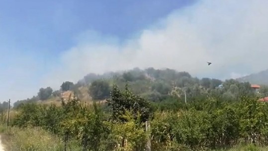 Zjarrfikësit nuk munden të shuajnë flakët, rrezikohen banesat në fshatin Jeta e Re (VIDEO)