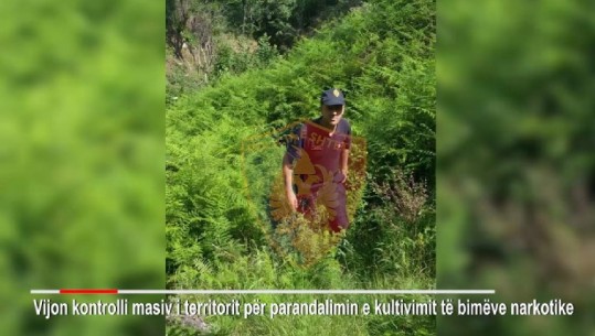1 600 policë 'krehin' vendin për drogë/ Kapen 133 rrënjë në Krujë e Vlorë, shpërndahen dronë kontrolli (VIDEO)