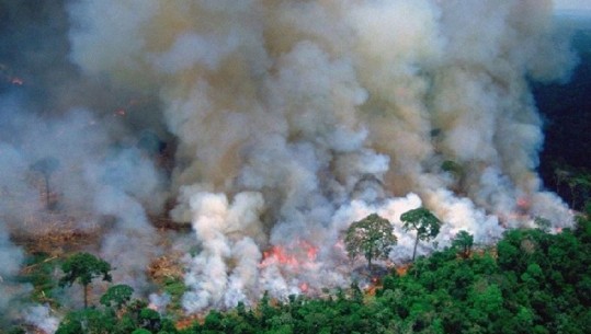 Amazona po lëngon, 'mushkëria' e botës në flakë! FOTO+VIDEO