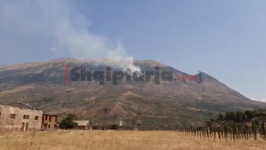 Merr flakë 'Kurora e Gjelbër' në majën e Shëndellisë, terreni i pakalueshëm për zjarrfikësit (VIDEO)