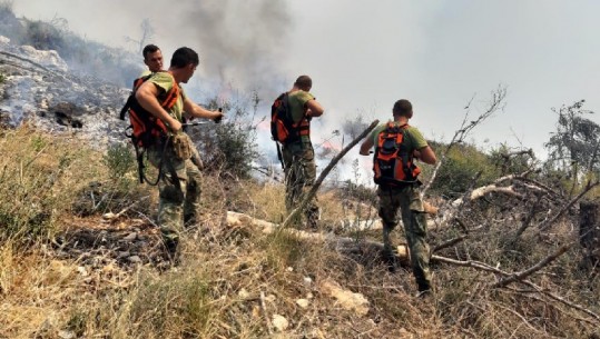 Zjarri në malin e Shëngjinit i qëllimshëm, arrestohen 2 persona! Flakët nën kontroll