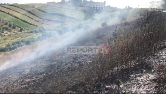 Zjarr i madh në Rrogozhinë, rrezikohen antenat e trasmetimit televiziv, nuk ka forca zjarrfikëse (VIDEO)