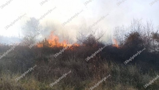 Zjarr pranë fabrikës së çimentos në Fushë-Krujë, rrezikohen disa banesa (VIDEO)