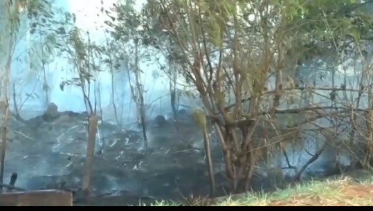 Zjarret në Amazonë/ Ushtria 'zbarkon' në mushkërinë e botës, shirat i japin një frymëmarrje (VIDEO)