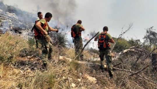 I vendosën zjarrin malit të Shëngjinit, gjykata jep 'detyrim paraqitje' por autorët mohojnë akuzat